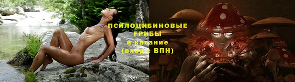 дживик Киреевск