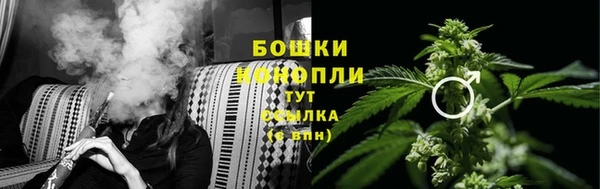 тгк Кинешма