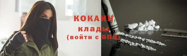 дживик Киреевск