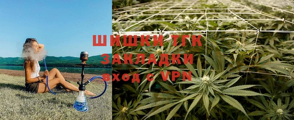 тгк Кинешма