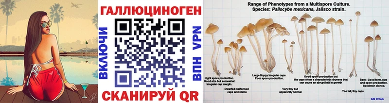 Псилоцибиновые грибы Cubensis  Купить  Правдинск 